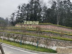 -味好美土菜(迎宾东路店)