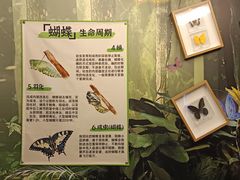 -宁波九龙湖开元度假村