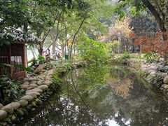 -成都市活水公园