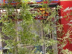 -金狮麟·新豫菜(金码大厦店)