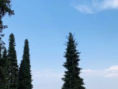 -新疆那拉提国家旅游度假区