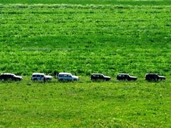 -塞罕坝国家级自然保护区