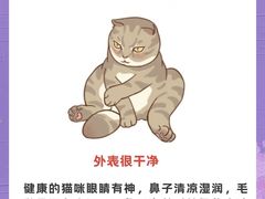 -凯特喵百思猫专科医院