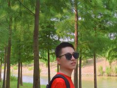 -合肥滨湖国家森林公园