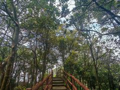 -缙云山景区