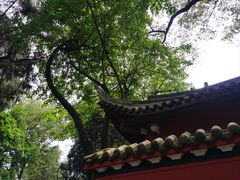 -成都武侯祠博物馆