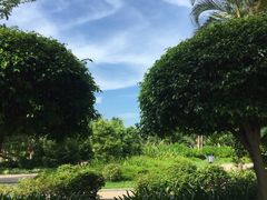 -万绿园