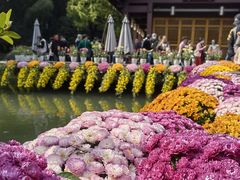 -杭州植物园