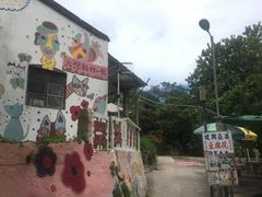 -南丫岛