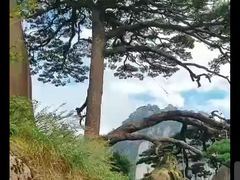 -黄山风景区