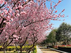 -白塘生态植物园