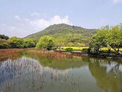 -八卦田遗址公园