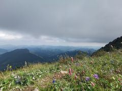-白草畔自然风景区