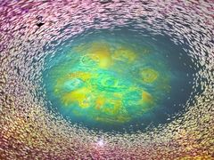 -海合安天津极地海洋公园