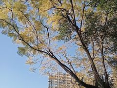 -金山公园