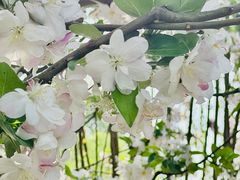 -元大都城垣遗址公园