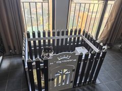 -伟伟宠物医院·CT影像中心·瑞派犬猫综合性门诊(汉口总院)