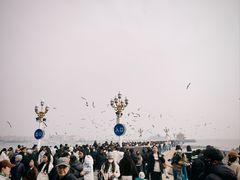 -青岛海滨风景区