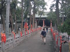 -关林