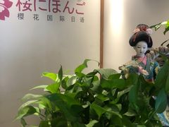 -樱花国际日语(徐家汇中心)