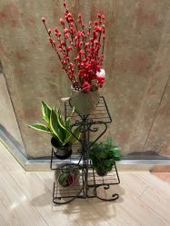 -本真坊美容美体沙龙