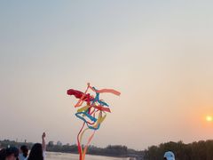 -大兴滨河森林公园