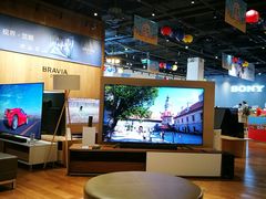 电视-Sony Store 索尼(来福士店)