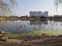 -澹台湖公园