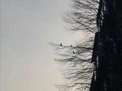 -山东大学(千佛山校区)