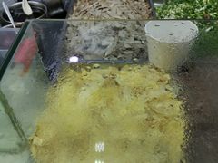 -孔师傅八仙老鸭粉丝汤(上海市第一食品商店南东店)