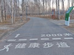 -东郊湿地公园