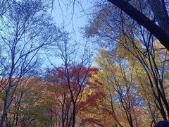 -关门山森林公园