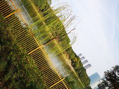 -艾溪湖湿地公园