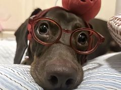 -半秋山西餐厅(襄阳万达店)