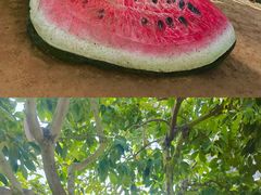 -南通洲际绿博园