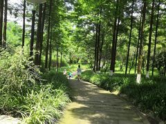 -重庆彩云湖湿地公园
