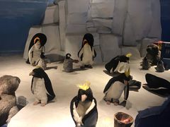 -成都泰迪熊博物馆