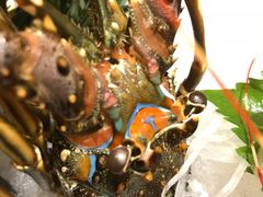 -割烹酱子日本料理(弘基财富广场店)