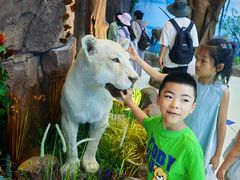 -西霞口神雕山野生动物世界