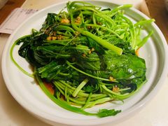 芥兰苗-佬肥猫(国华广场店)