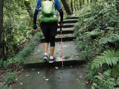 -杭州半山国家森林公园