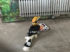 -哈尔滨北方森林动物园