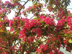 -元大都城垣遗址公园