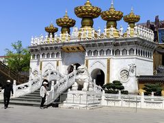 -上海东林寺(金山区)