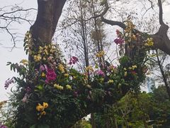 -人民公园(罗湖区)