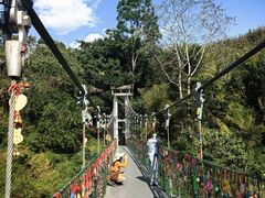 -西双版纳原始森林公园