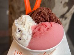 -Dip in Gelato(富民路店)