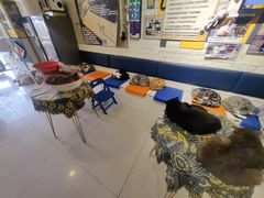 -平行世界·猫咖(首经贸店)