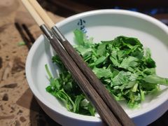 -小龙坎火锅(春熙太古里店)