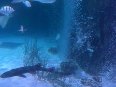 -沈阳海洋探索中心